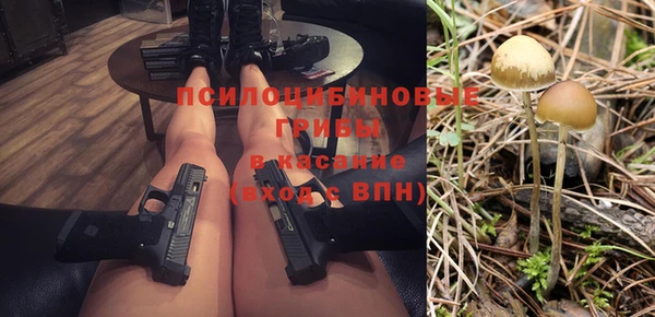бошки Абаза